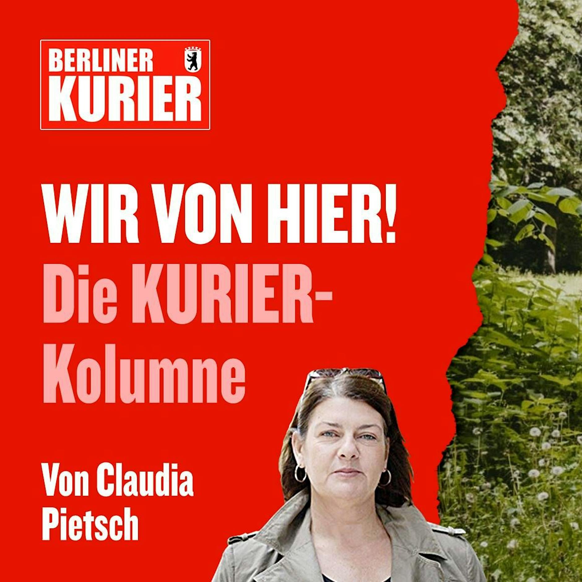 Für ein gutes neues Jahr: Mehr Blumen an Baumscheiben und weniger Sonntags-Staus