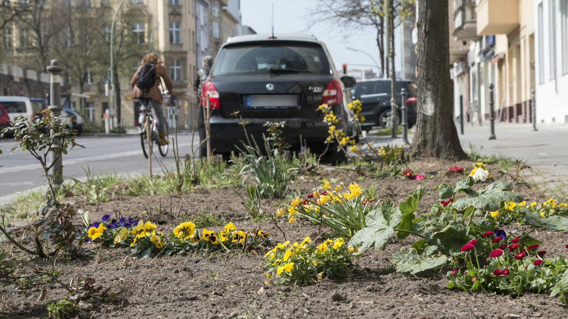Bepflanztes Beet an einem Baum - Archivfoto aus der Berliner Kreuzbergstraße. 