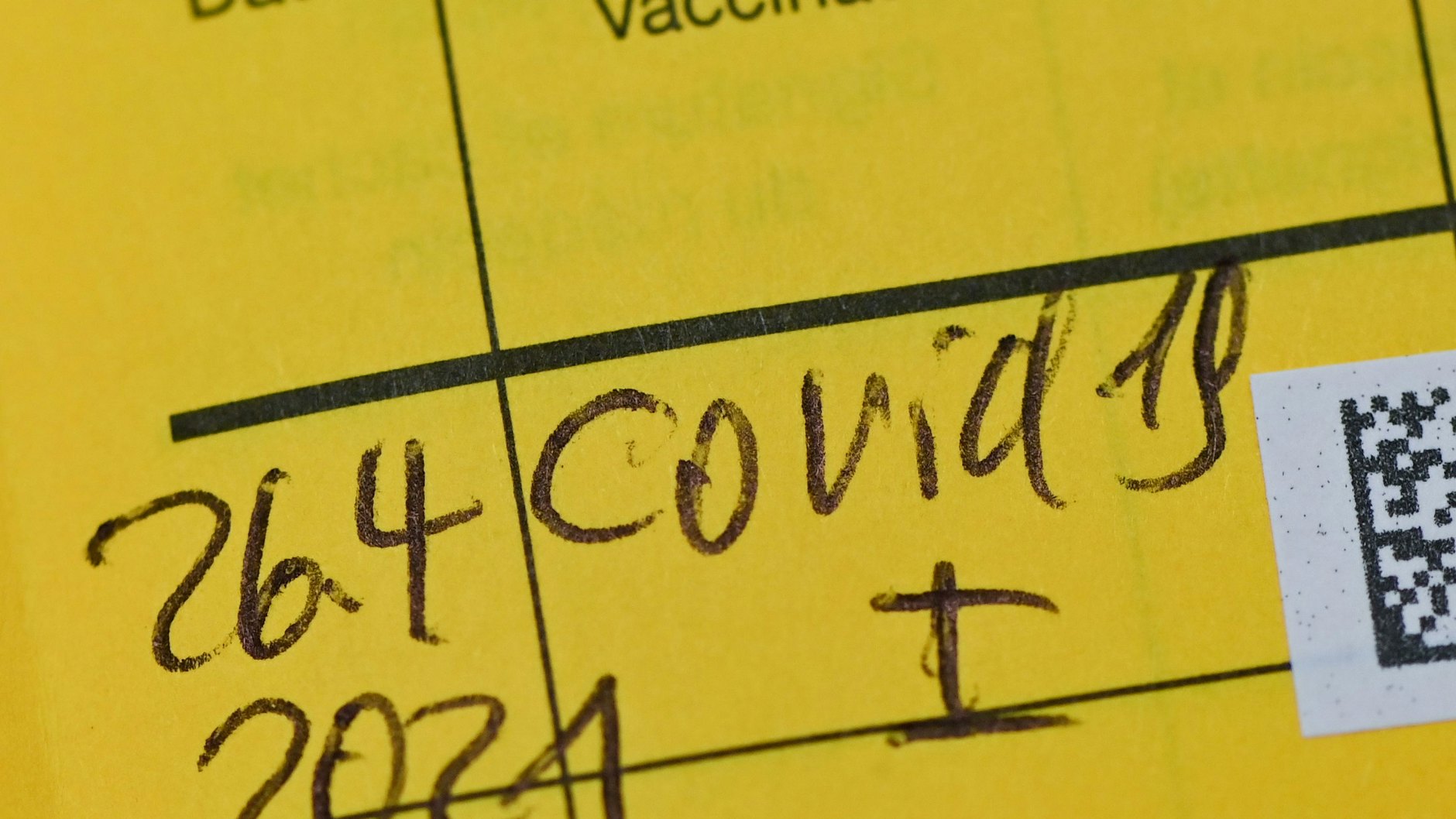 Eine Familie mit gefälschten Impfpässen ging der Bundespolizei ins Netz. (Symbolbild)