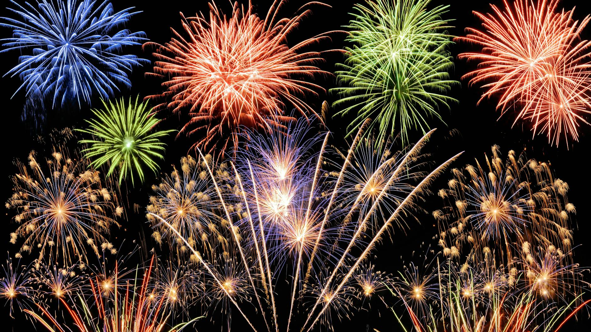 Tiere leiden stark unter der Silvesterböllerei. 