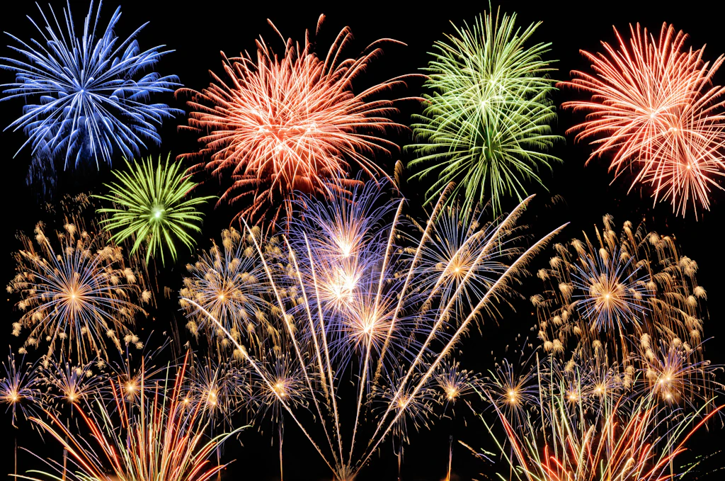 Wildtiere an Silvester: Flucht in den Tod