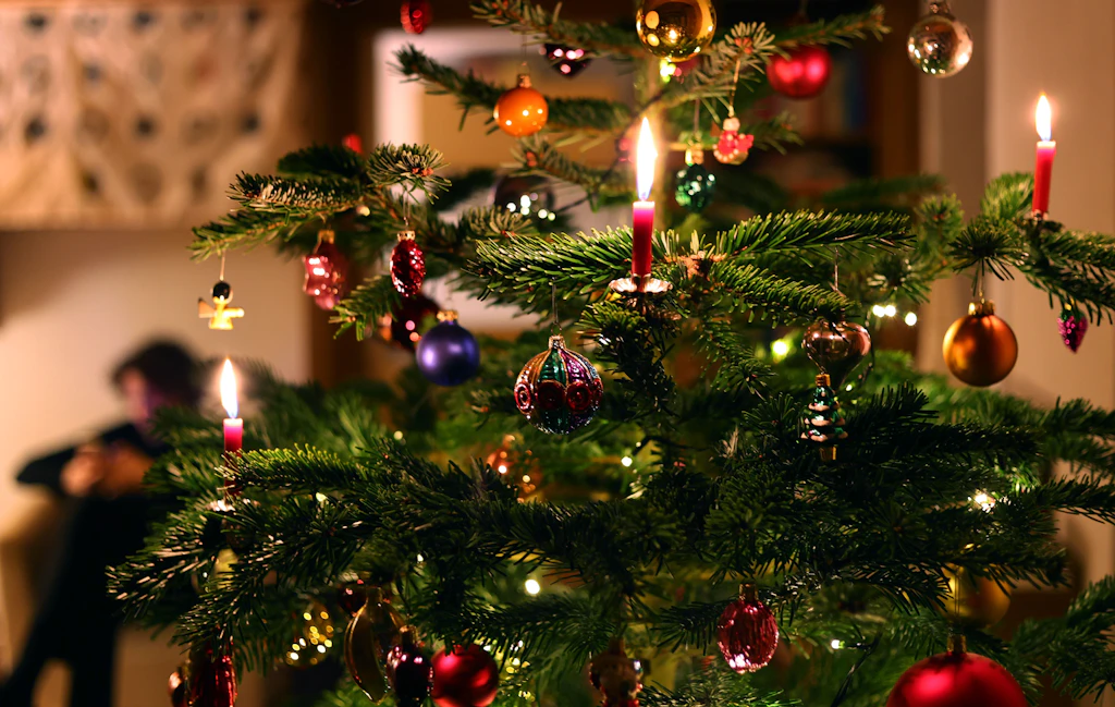 Nach dem Fest – was tun mit dem Weihnachtsbaum?