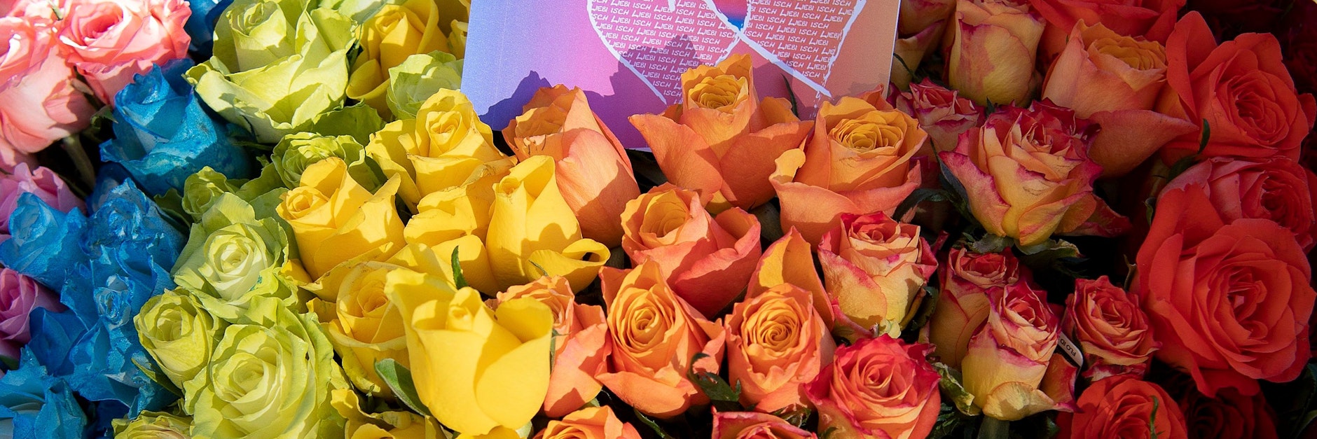 Blumen in den Farben des Regenbogens, aufgenommen während einer Aktion für die Ehe für Alle auf dem Bärenplatz. <br>Ab dem 1. Juli 2022 können gleichgeschlechtliche Paare auch in der Schweiz heiraten oder ihre eingetragene Partnerschaft in eine Ehe umwandeln.&nbsp;
