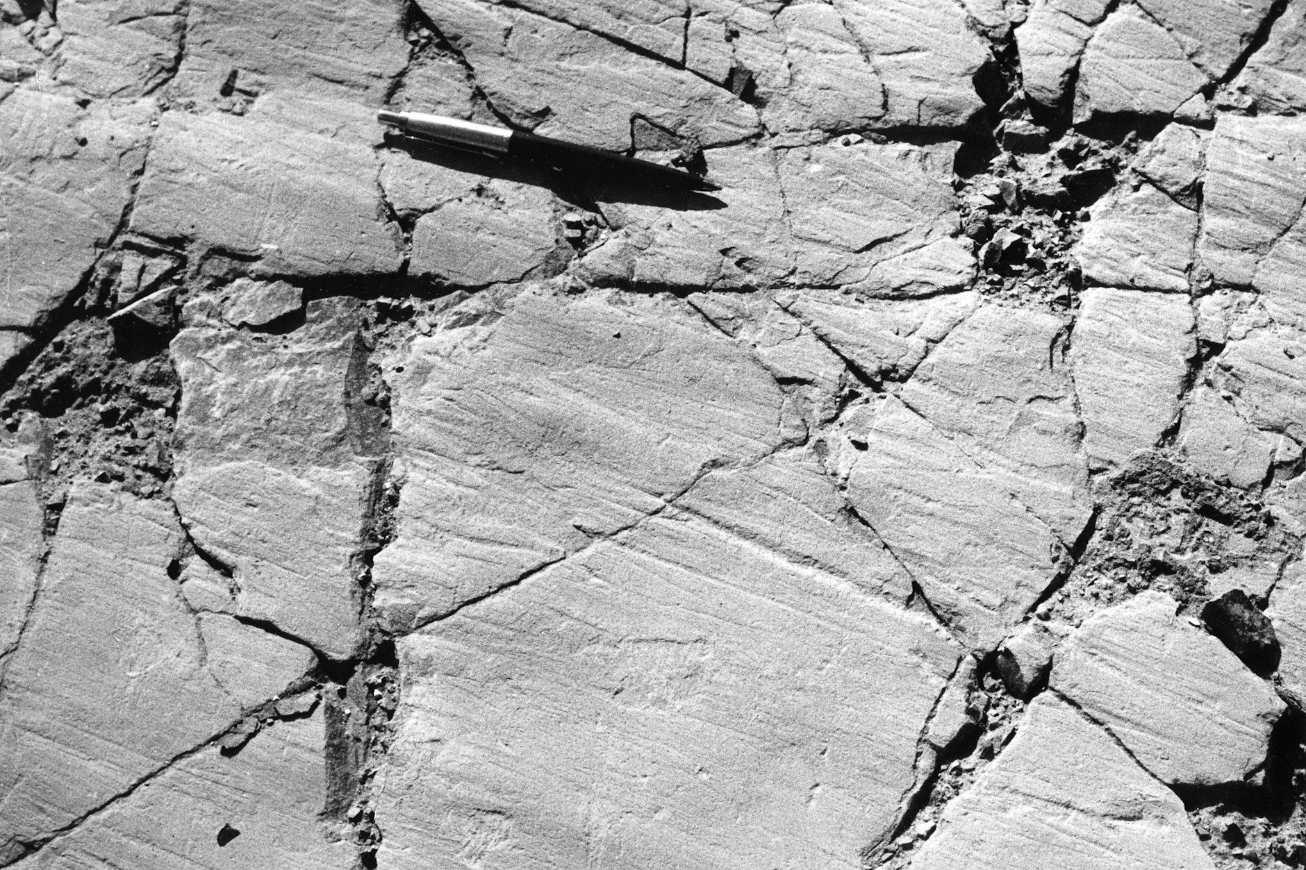 Im Kalkstein-Tagebau Rüdersdorf fand sich der Beweis, dass Eiszeitgletscher bis nach Brandenburg vorgedrungen waren: Kratzspuren, sogenannte Kritzungen, belegen, dass der Kalkstein von Gletschern überfahren wurde.&nbsp;