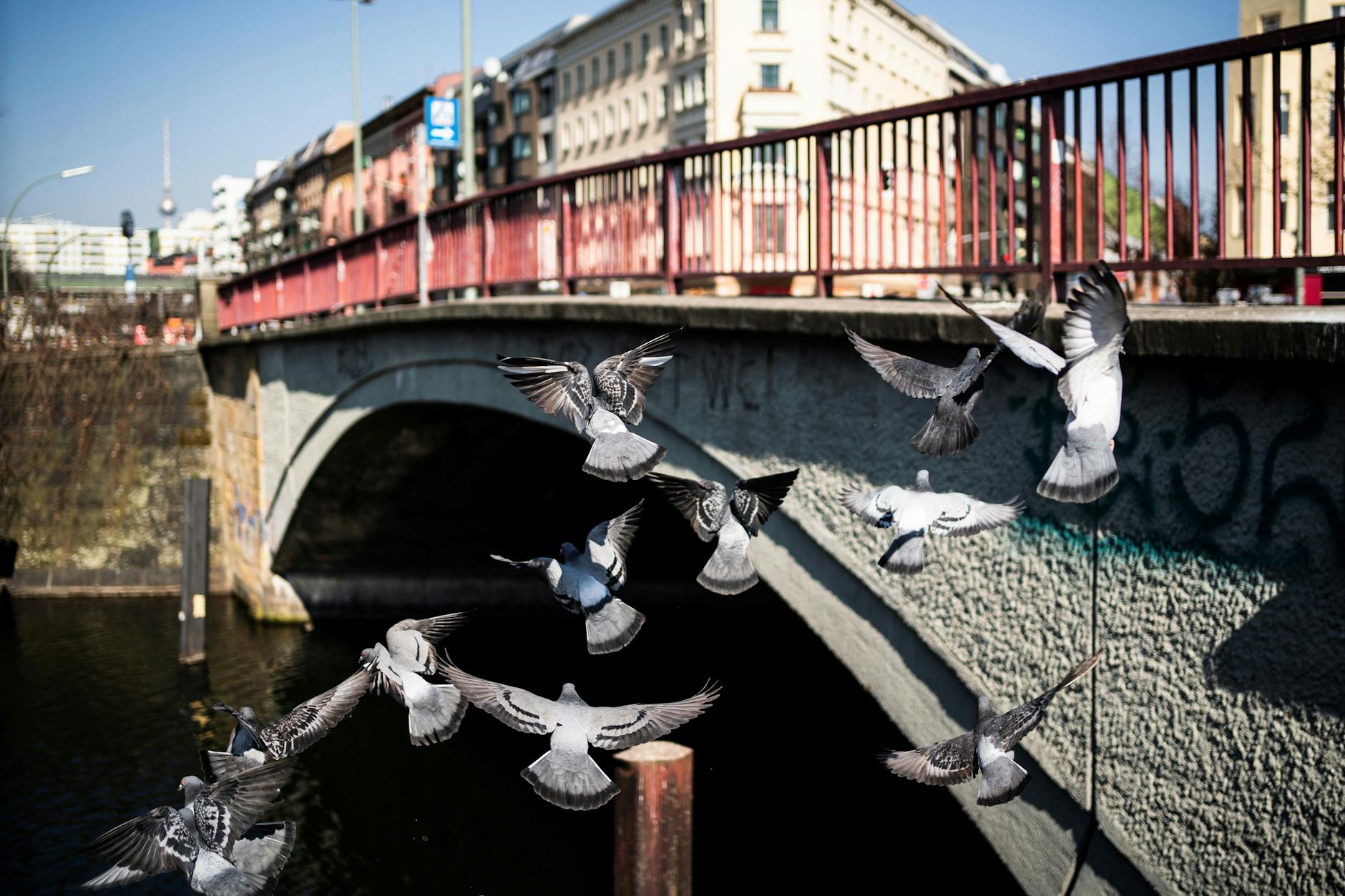 Die Brücke am Kottbusser Damm: im Alltag ein schöner Ort. Aber nicht an Silvester!