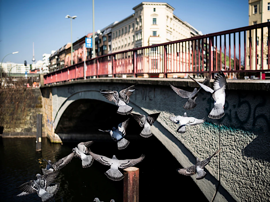 Die Brücke am Kottbusser Damm: im Alltag ein schöner Ort. Aber nicht an Silvester!