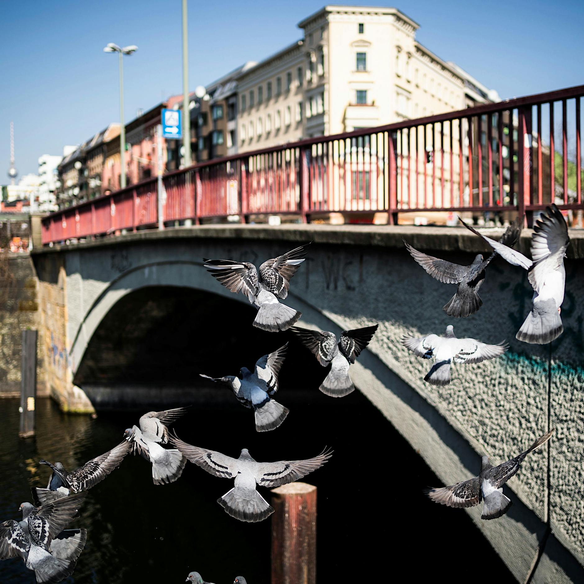 Diese Berliner Orte sind der Beleg, dass ein Böllerverbot richtig wäre