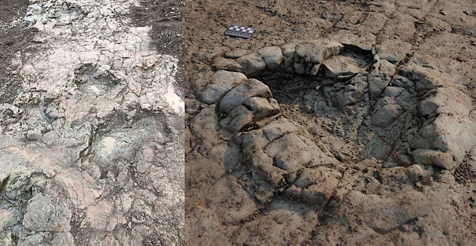 „Fährte“ von Fußabdrücken (l.) eines Dinosauriers und eine Nahaufnahme eines Fußabdrucks eines Dinosauriers, die am Strand von Penarth in Südwales entdeckt worden sind.