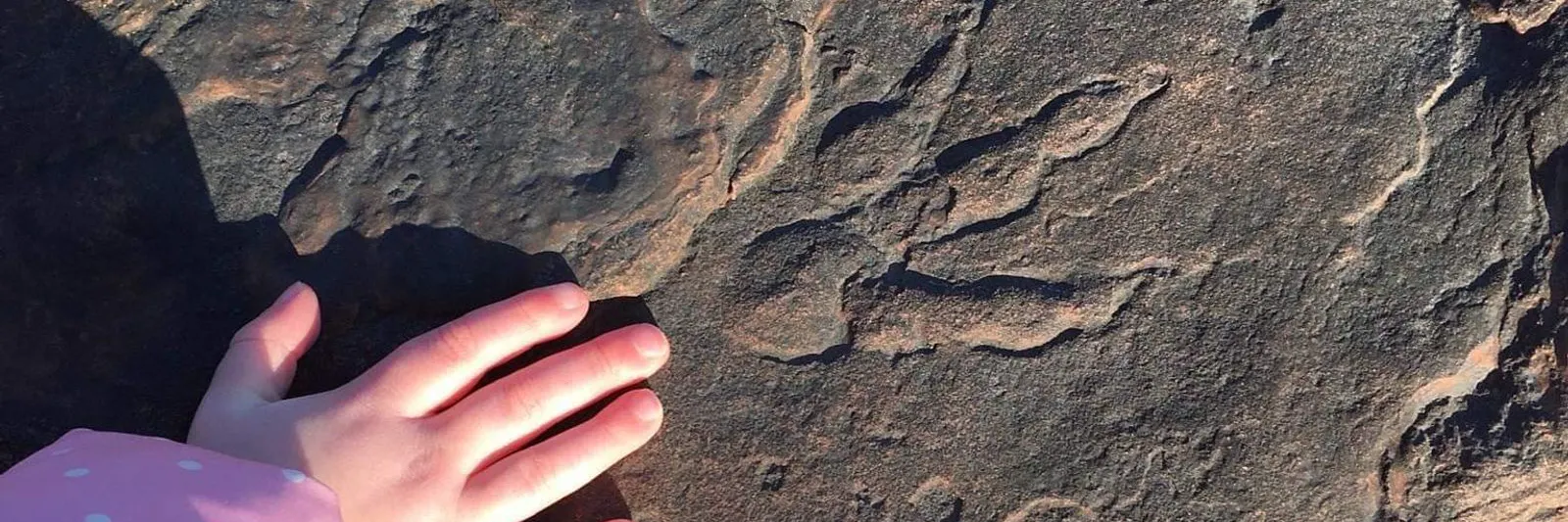 Lily Wilders Hand mit dem Fußabdruck des Dinosauriers.