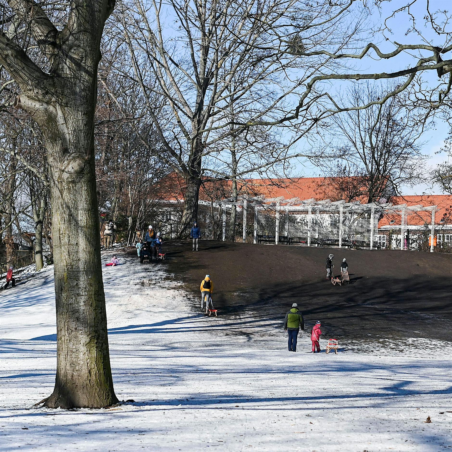 Rodelberg in der Parkaue: Wer lüftet das Rätsel des verschwundenen Schnees?