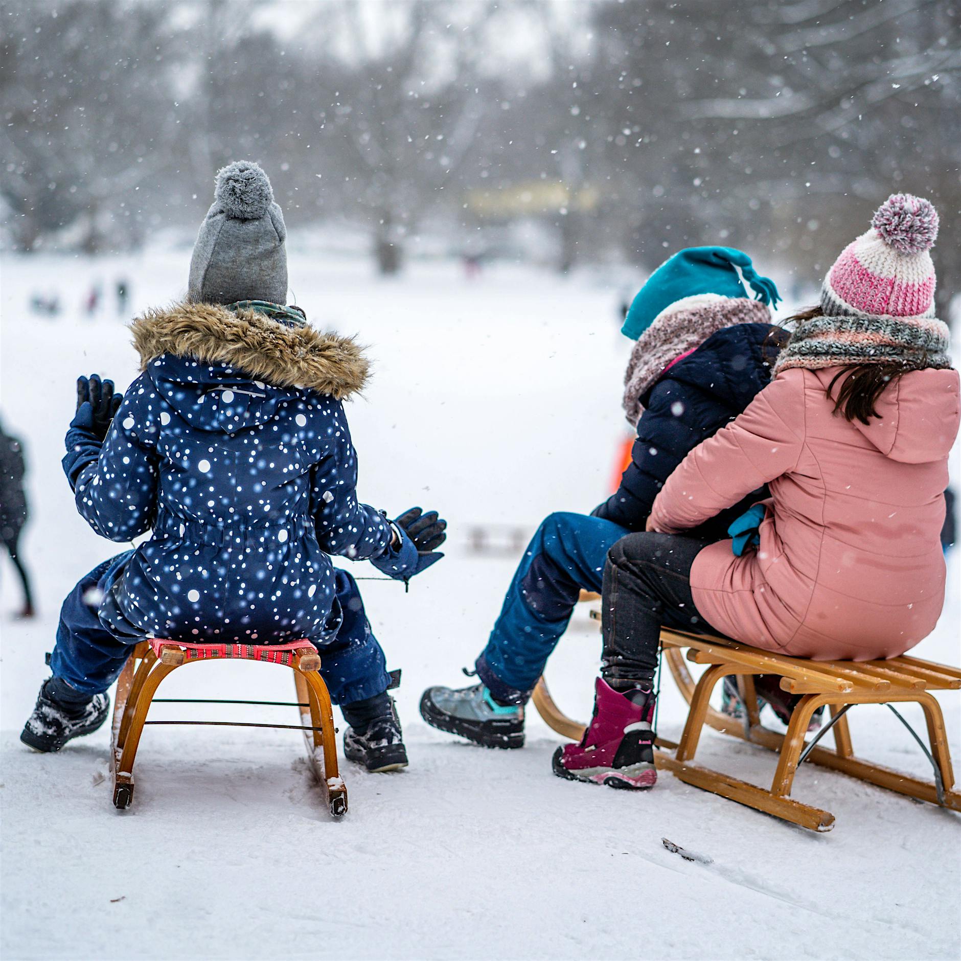 Schlitten-Verkäufer hoffen auf Höchstpreise bei Ebay