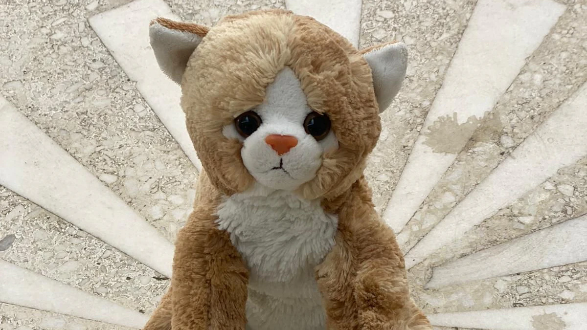 Plüschkatze Gondula wurde für Martin Schüler zum Seelentröster.