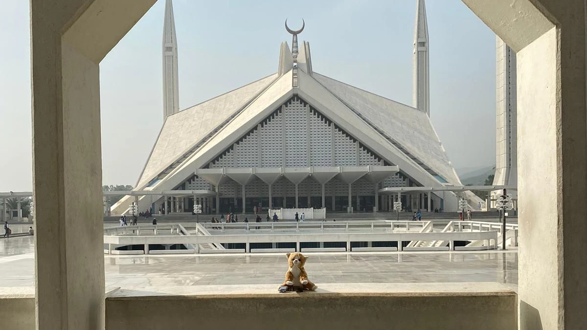 Gondula sitzt auf einer Mauer in Islamabad in Pakistan.