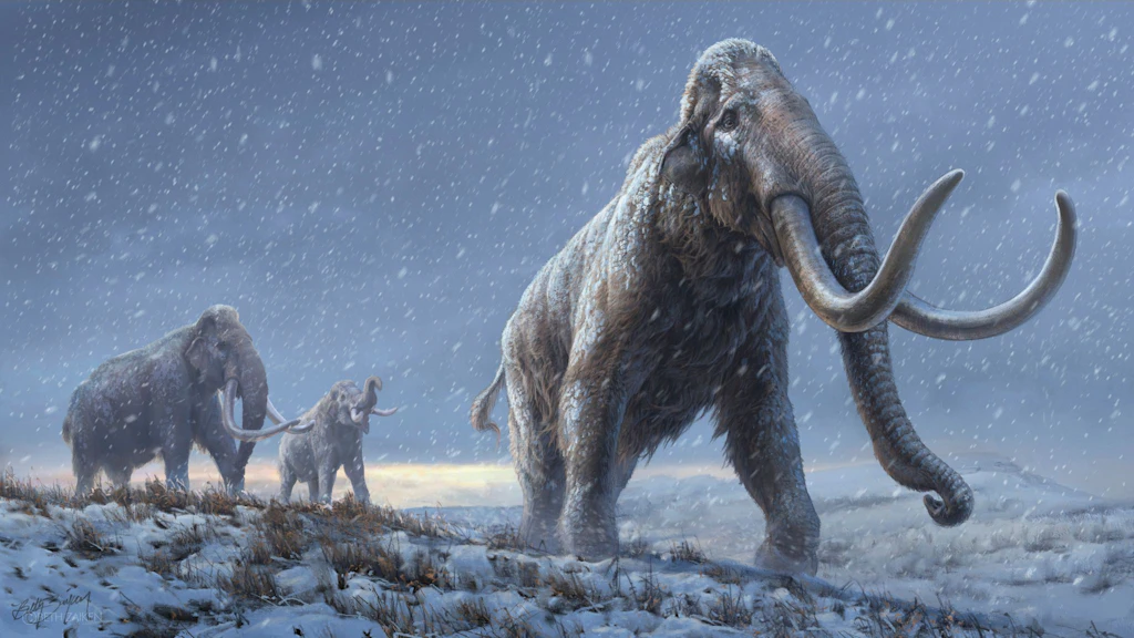 Rekord: Erbgut aus eine Million Jahre alten Mammut-Zähnen analysiert