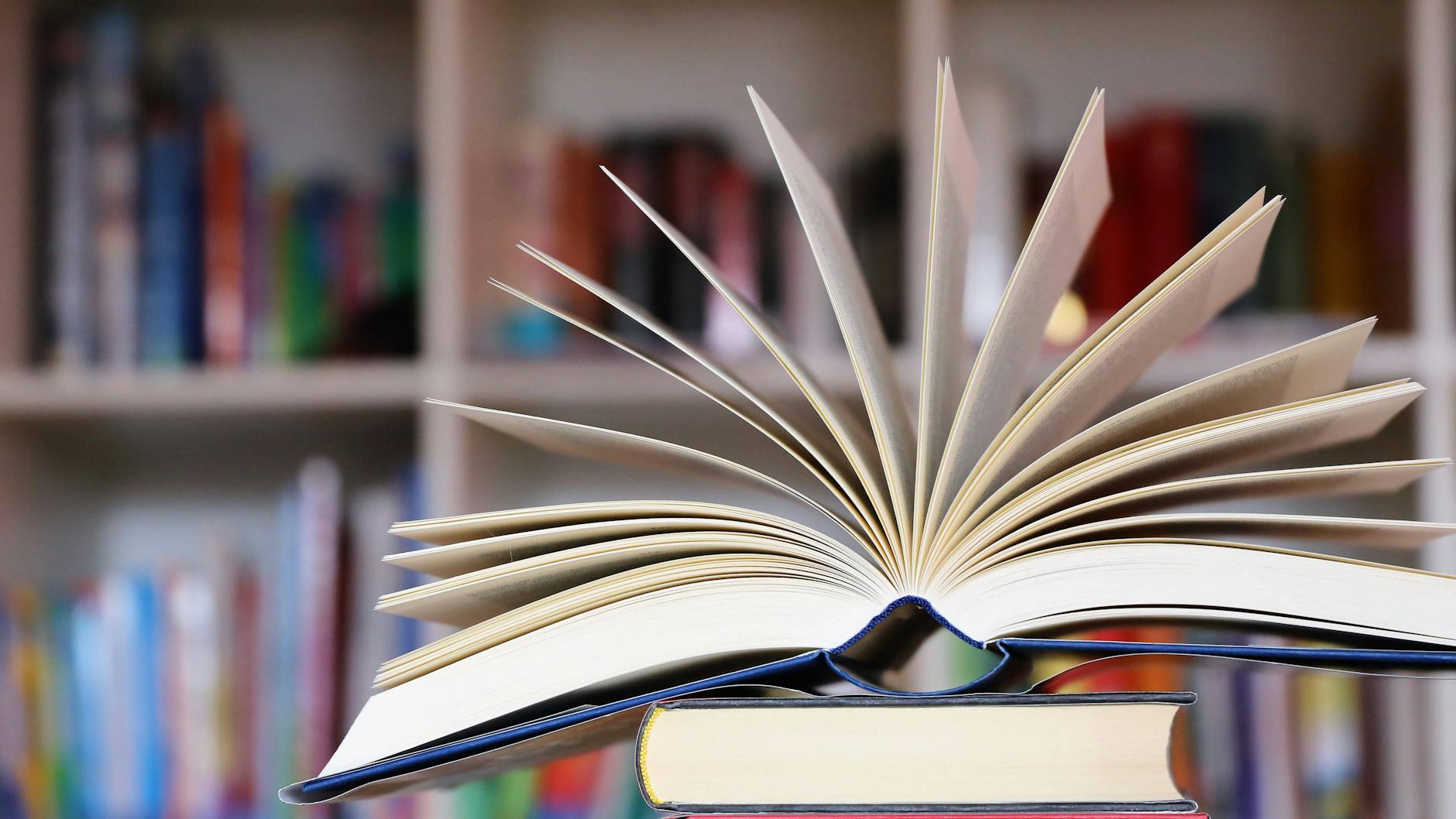 Manche Bücher verwandeln uns in Zeitreisende.