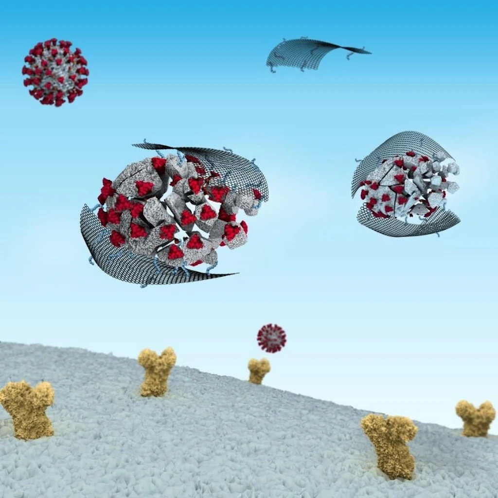 Berliner Forscher zerstören das Coronavirus mit Nanoteilchen