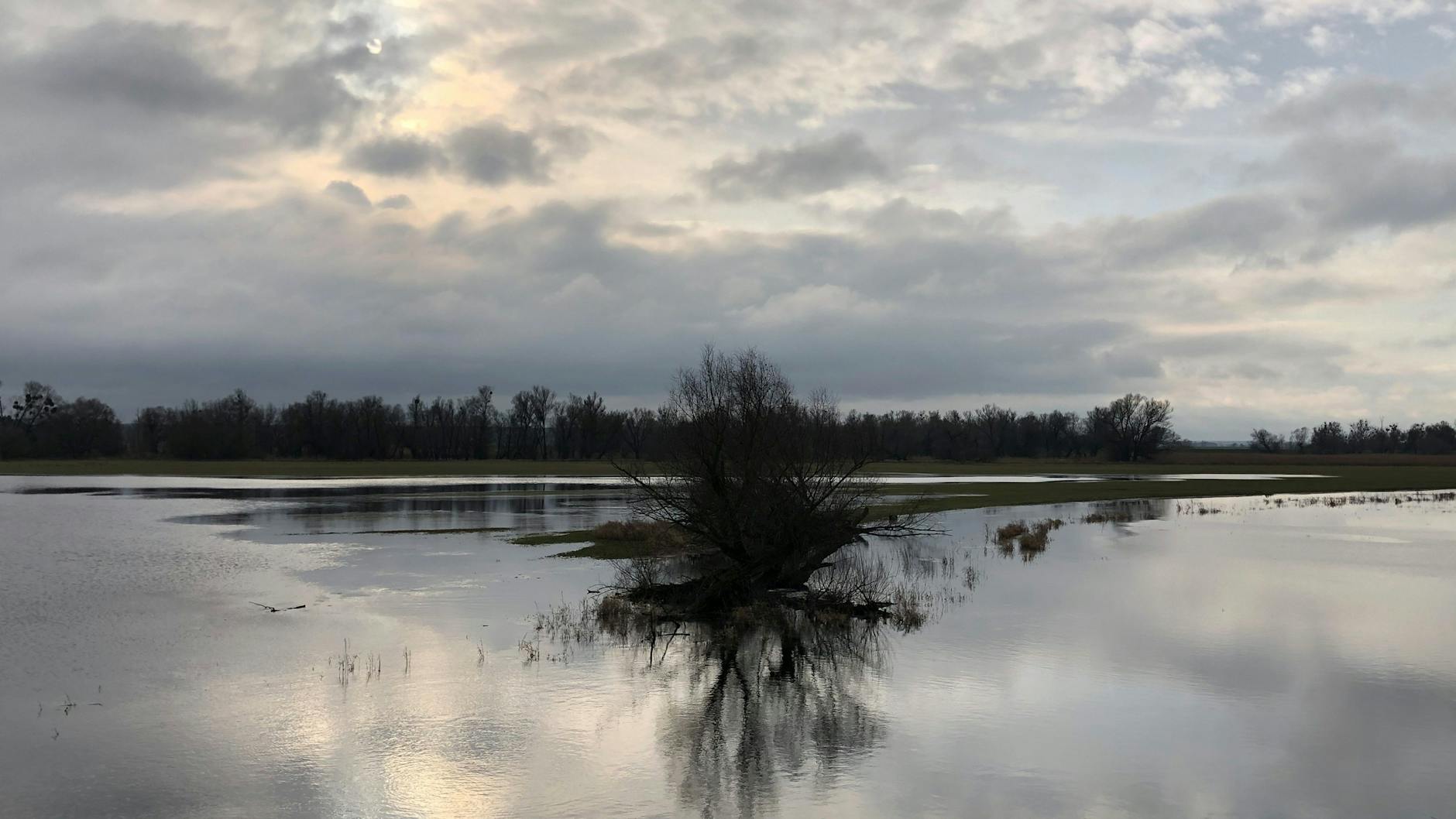 Ein Land aus Wasser und Licht: der Nationalpark an der Oder.<br>