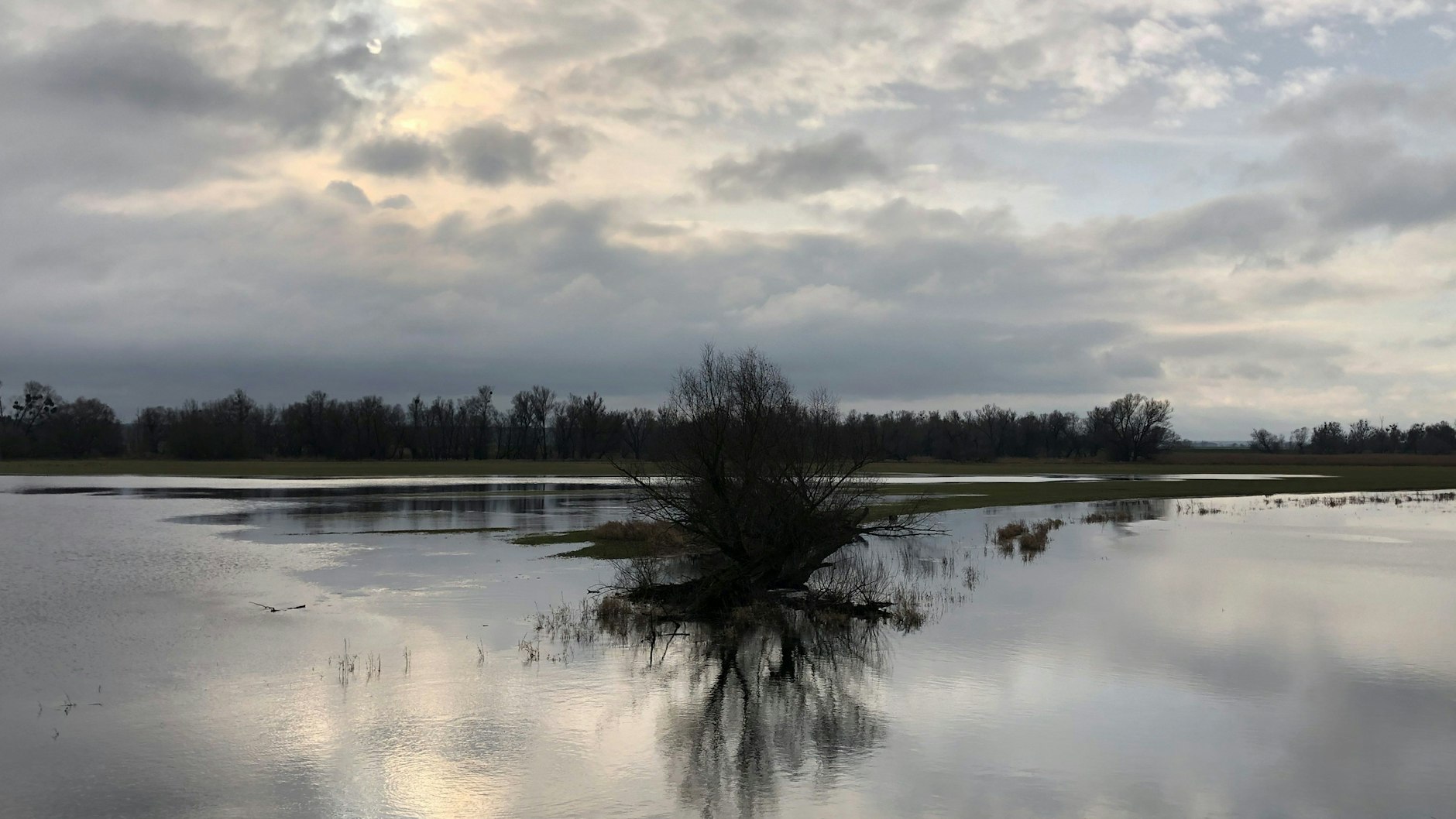 Ein Land aus Wasser und Licht: der Nationalpark an der Oder.<br>