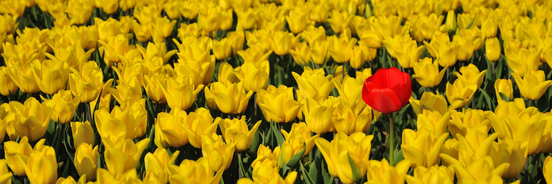 Zwar wird es vielerorts blühen und sprießen, doch der Winter kann noch zurückkommen, warnen Experten.
