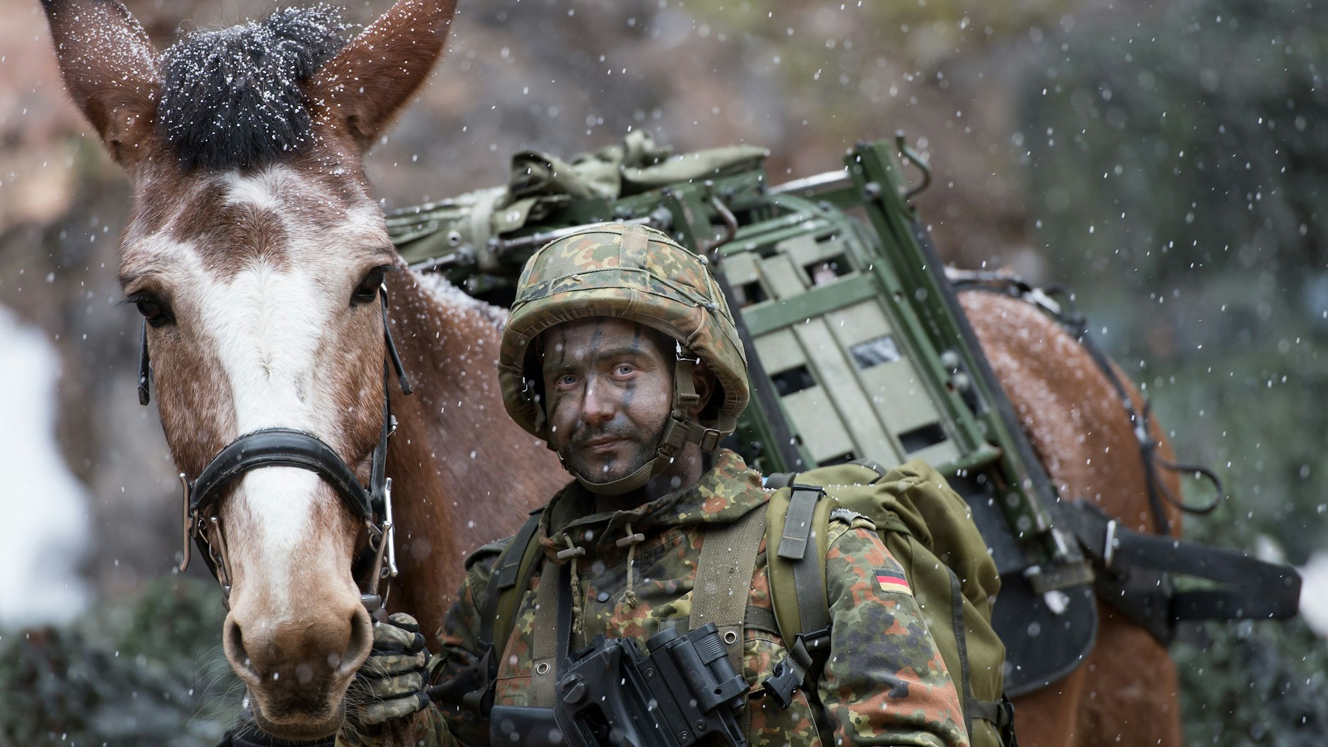 Besonders widerstandsfähig, trittsicher und genügsam: Die Maultiere der&nbsp;Hochstaufen-Kaserne sind jederzeit einsatzbereit.&nbsp;