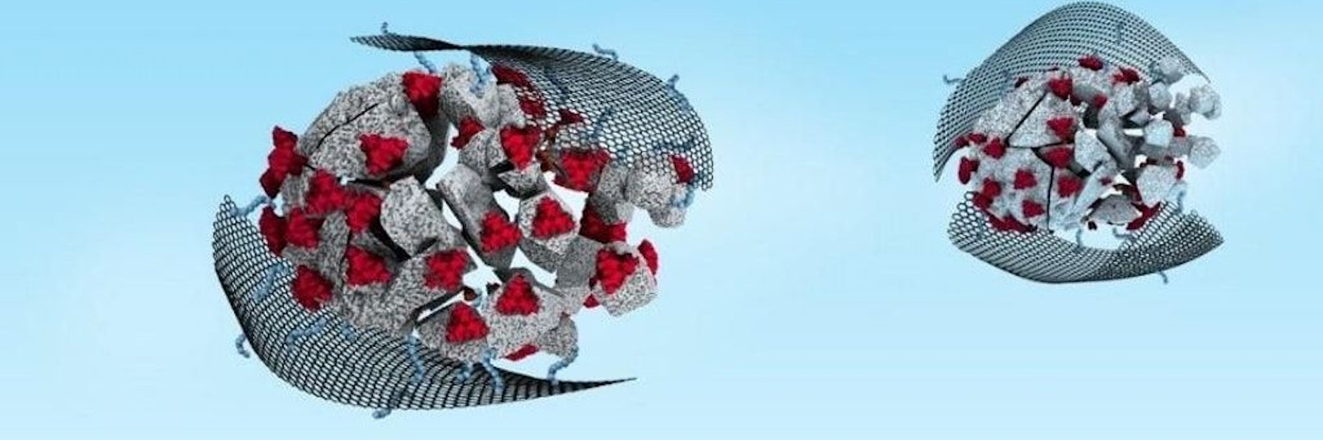 Ultradünne Nanomaterialien bringen die Hülle der Coronaviren zum Zerreißen, bevor sie überhaupt in menschliche Zellen eindringen können.