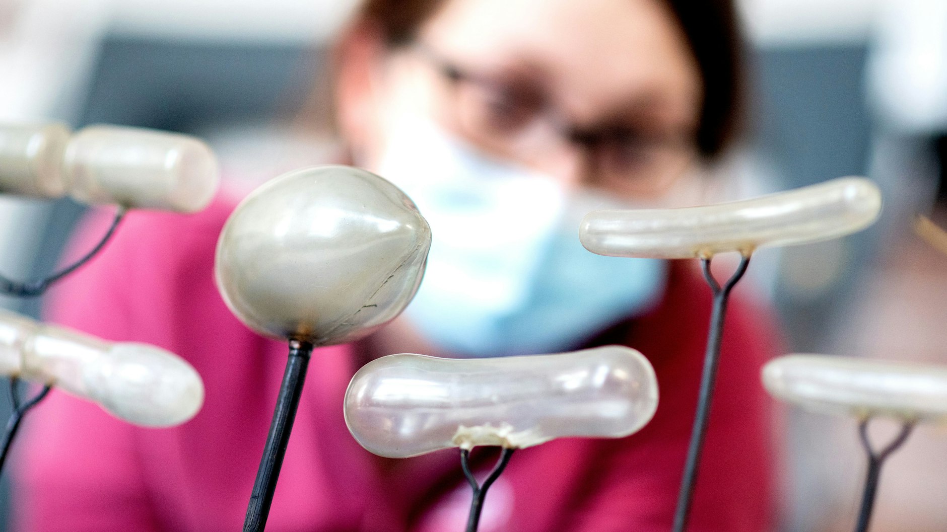 Eine Restauratorin im Roemer- und Pelizaeus-Museum in Hildesheim betrachtet ein historisches Modell, das verschiedene Krankheitserreger zeigt.&nbsp;