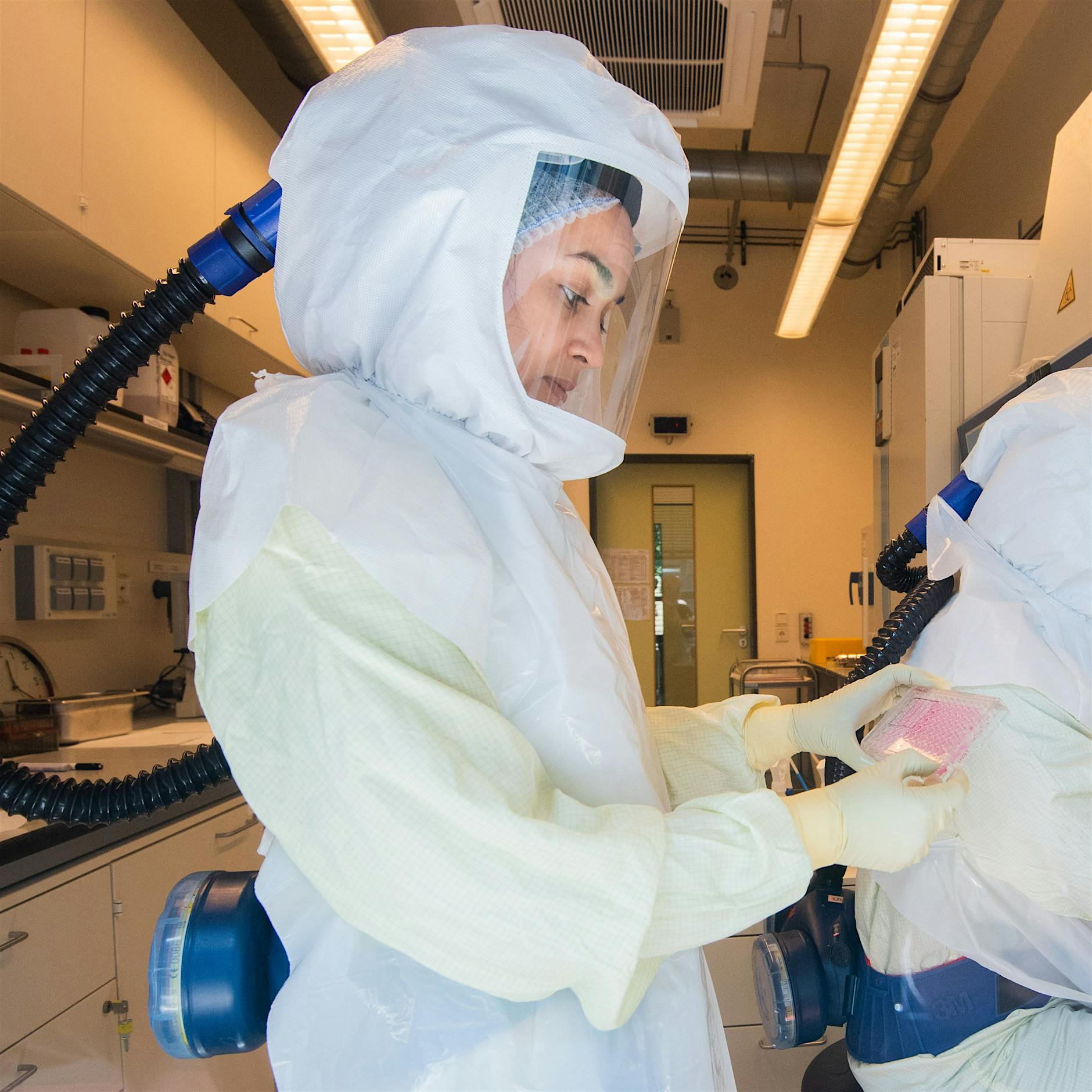 Virologen: Arbeitsteilung zwischen Forschung und Politik funktioniert nicht mehr