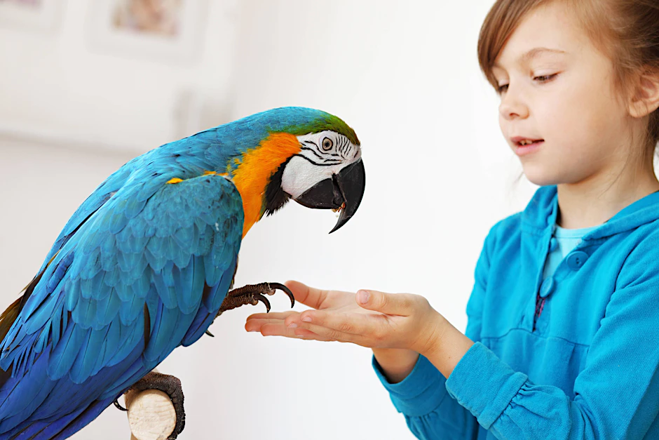 So wie der Ziervogel seinen Hirsekolben soll der Mensch sich seinen Kneipenbesuch verdienen.