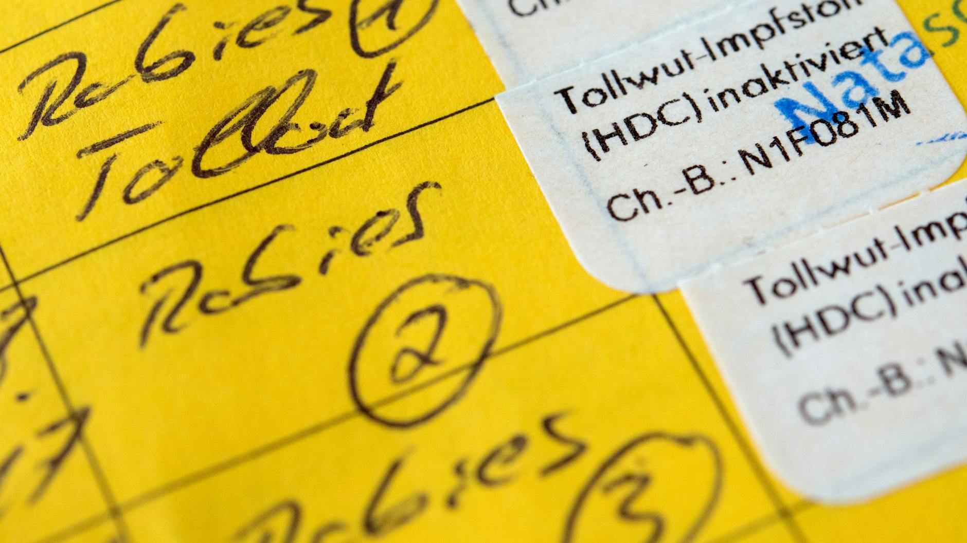 Wer gegen Tollwut geimpft wurde, bekommt das in seinen Impfpass eingetragen.