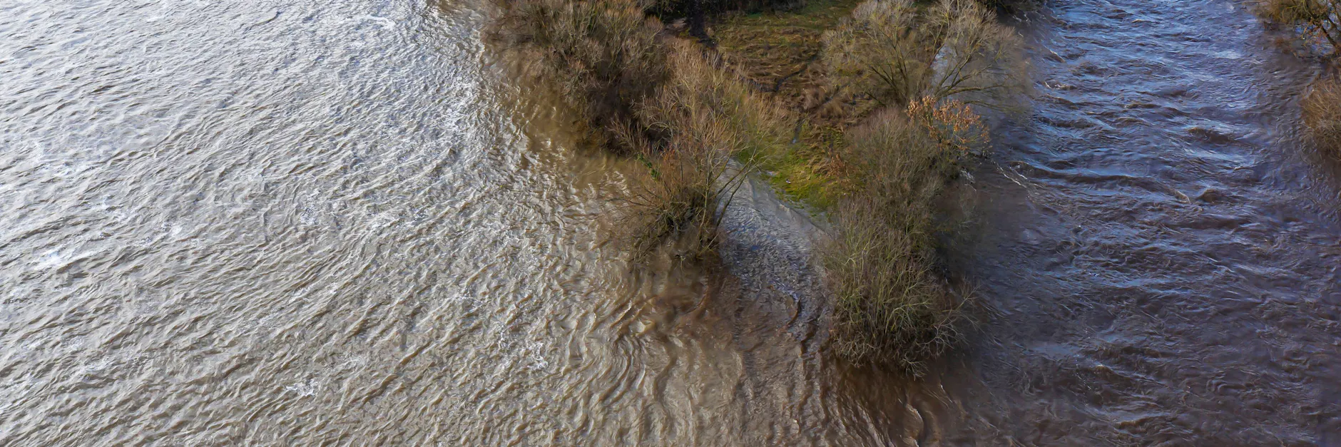 Die Enz wie sie in den Neckar fließt. In der Nähe von Freiburg wurde ein Hund in den Fluss geworfen. Zwei Männer hatten ihn zuvor seinem Herrchen entrissen. 
