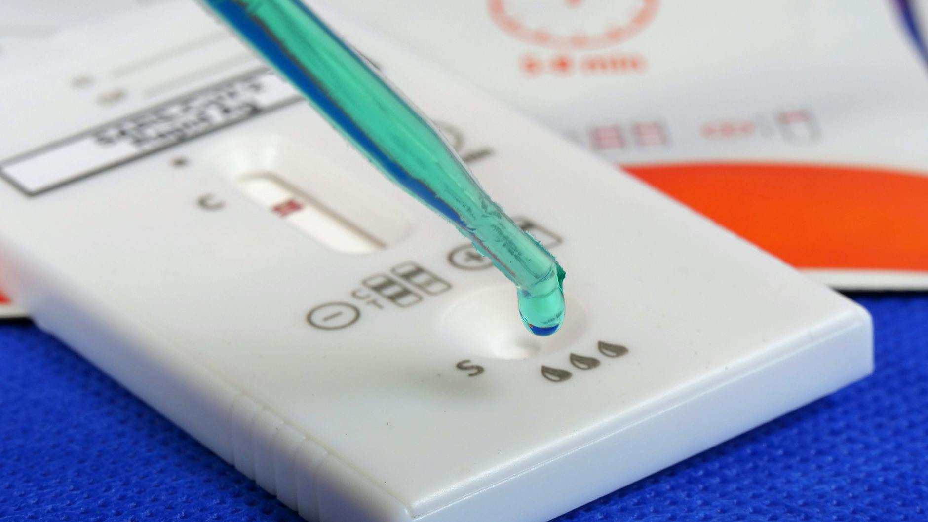 Die Probe aus dem Abstrich wird mit einer Flüssigkeit vermengt und dann auf den Teststreifen getropft. Das Ergebnis ist in wenigen Minuten sichtbar.