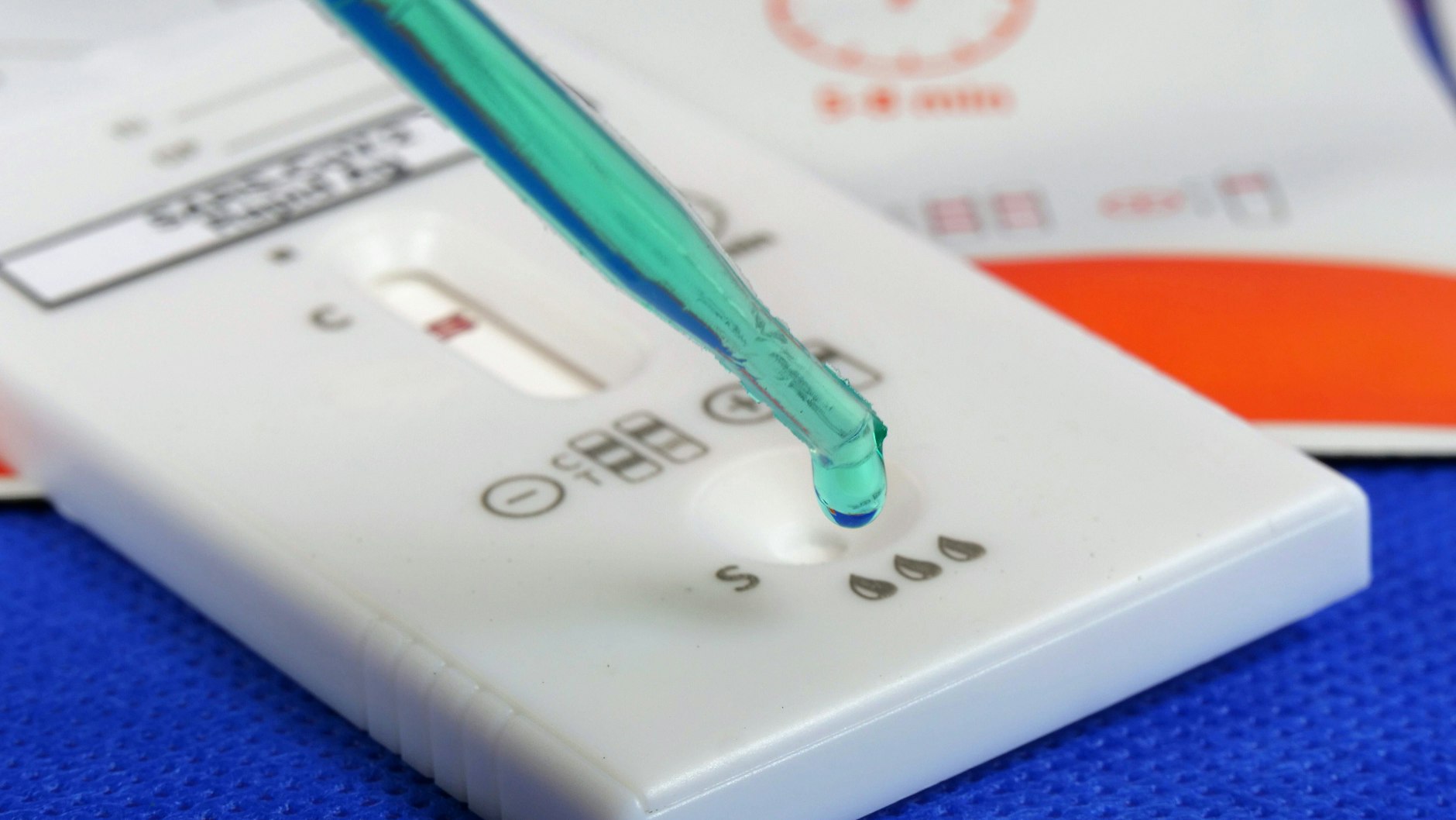 Die Probe aus dem Abstrich wird mit einer Flüssigkeit vermengt und dann auf den Teststreifen getropft. Das Ergebnis ist in wenigen Minuten sichtbar.