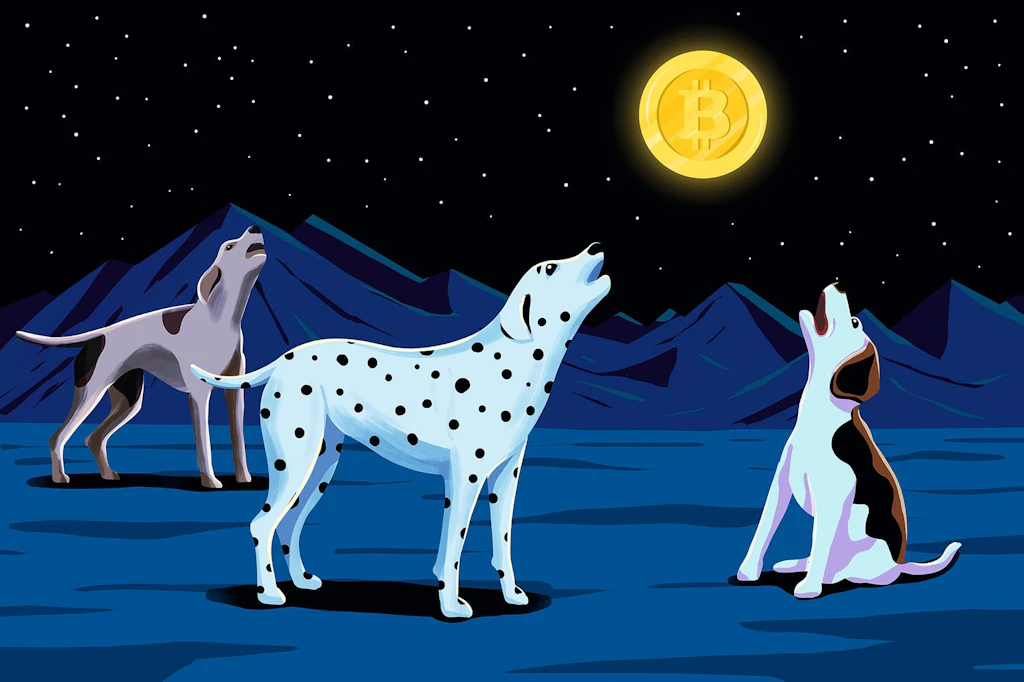 Das aktuelle Geldsystem akzeptieren Bitcoin-Maximalisten nicht.