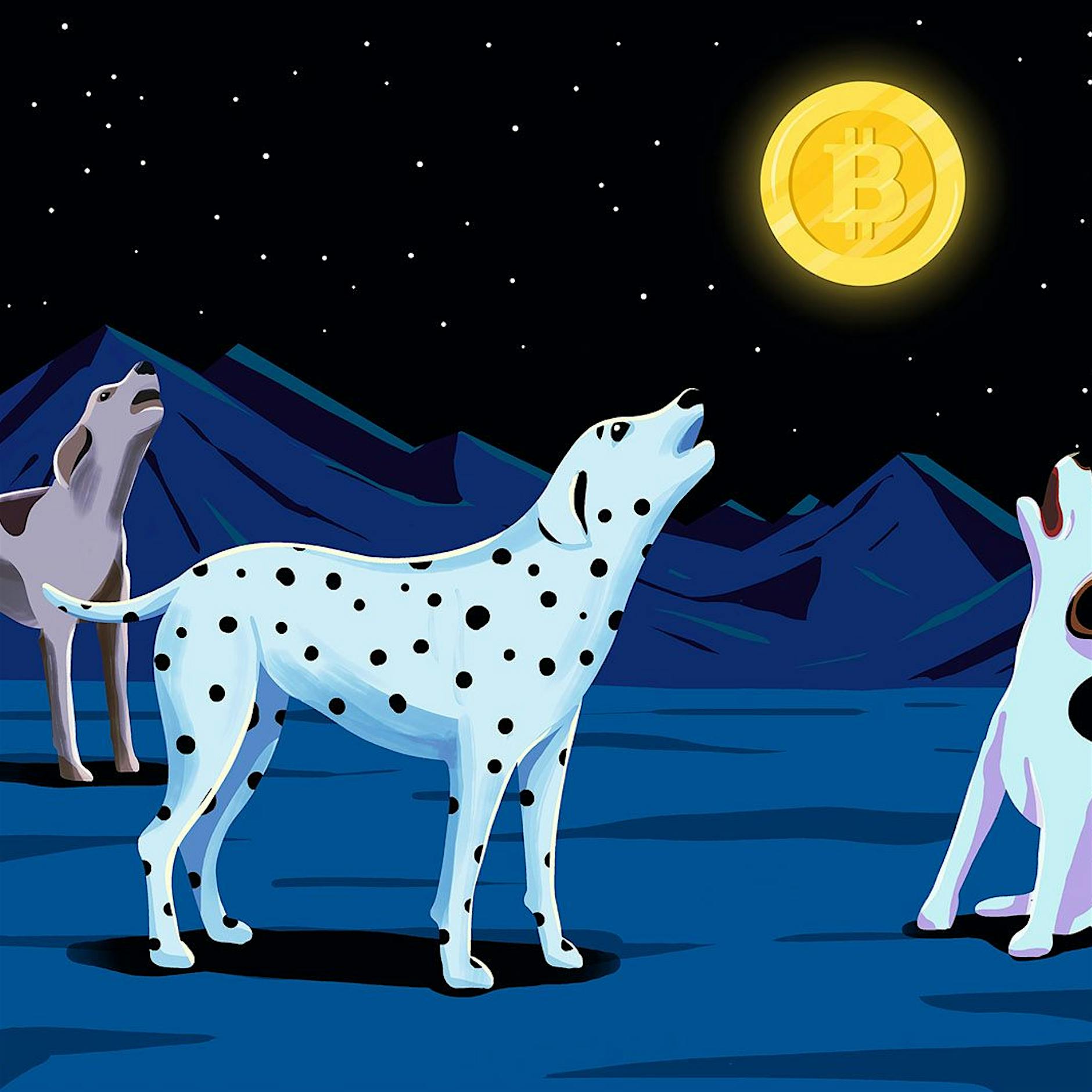 Der Bitcoin ist genauso eine Blase, wie Gold eine ist