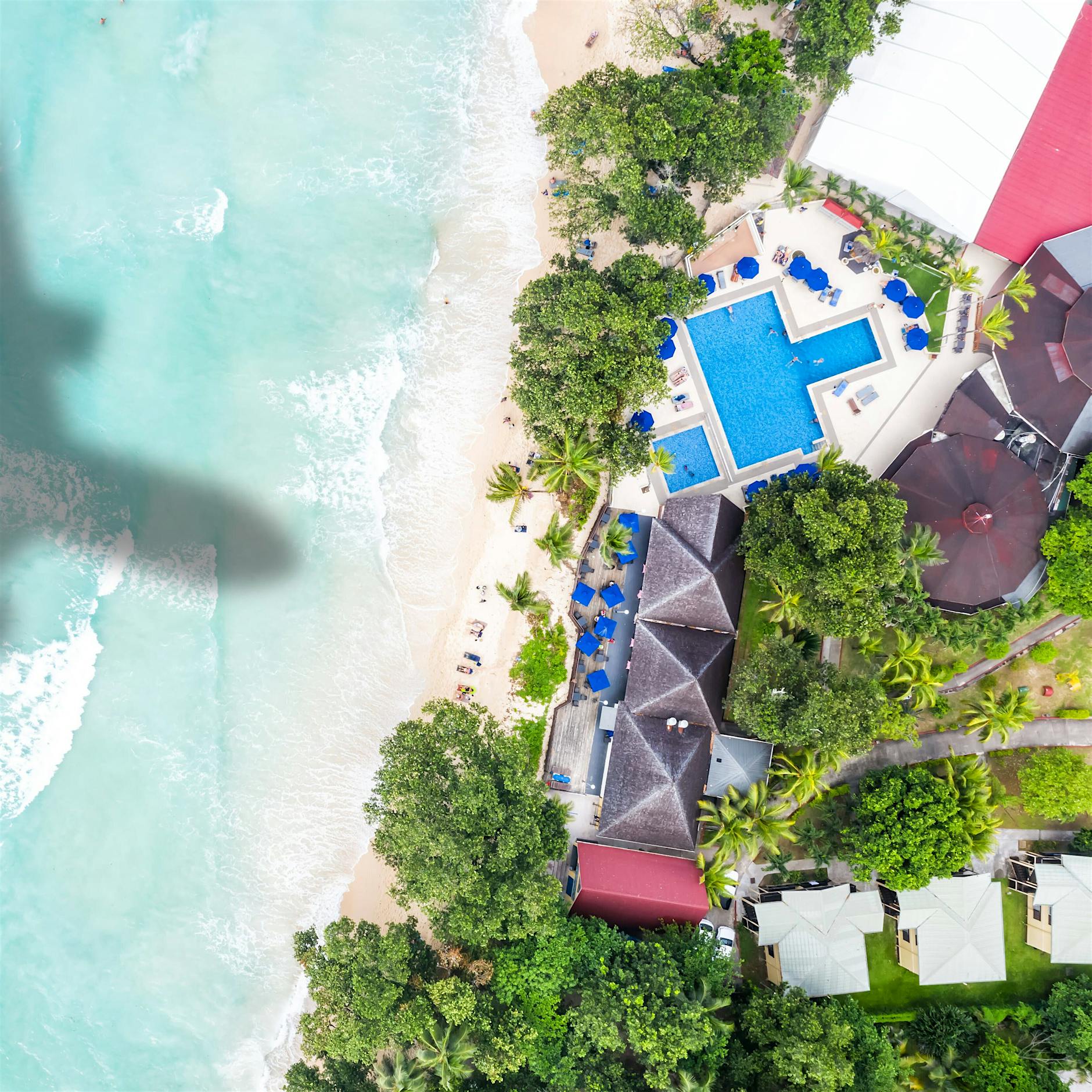 Start-up-Gründer: „Corona wird das Reisen für immer verändern“