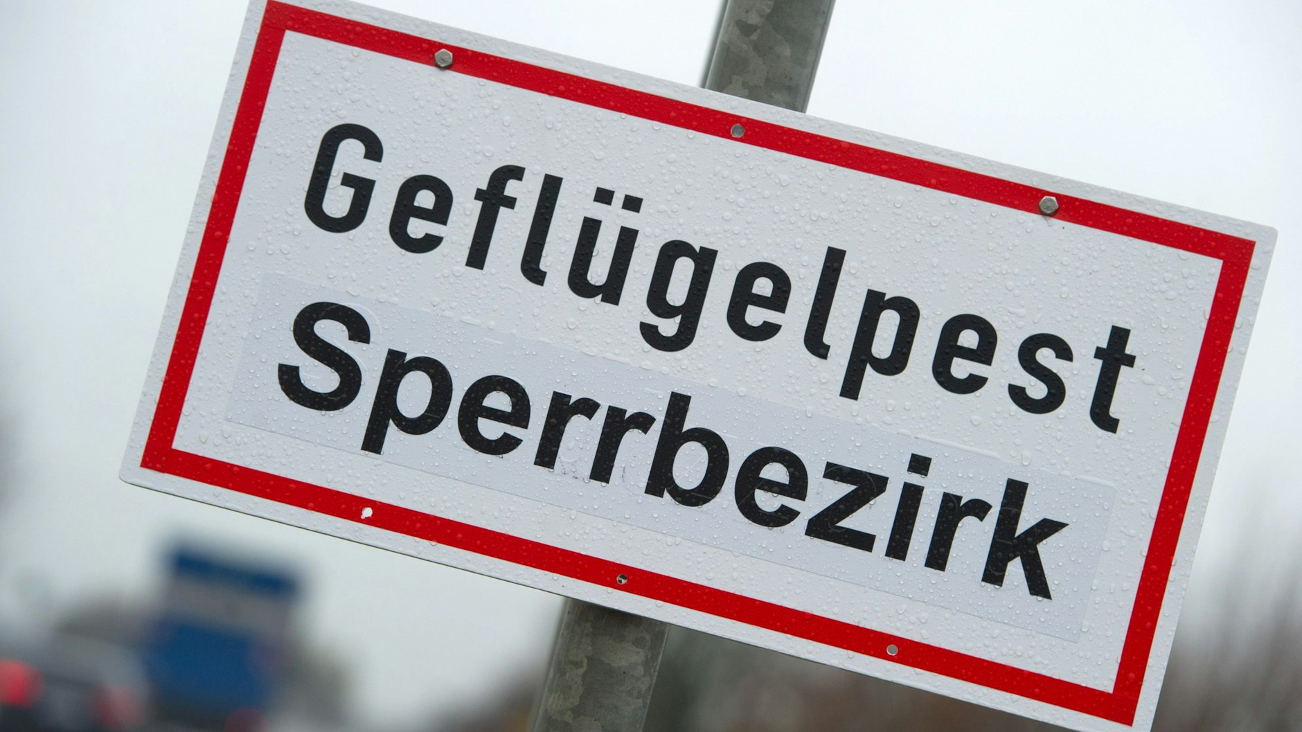Ein Schild warnt vor einem Sperrbezirk. Inzwischen gibt es den dritten Fall von Geflügelpest in Brandenburg.&nbsp;