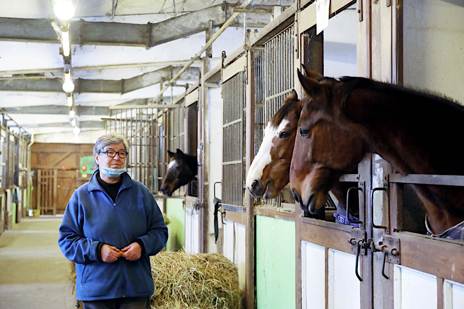 Karin Tomzik (69) hat mit ihren Pferden Ace, Blue Eye und Robin T.