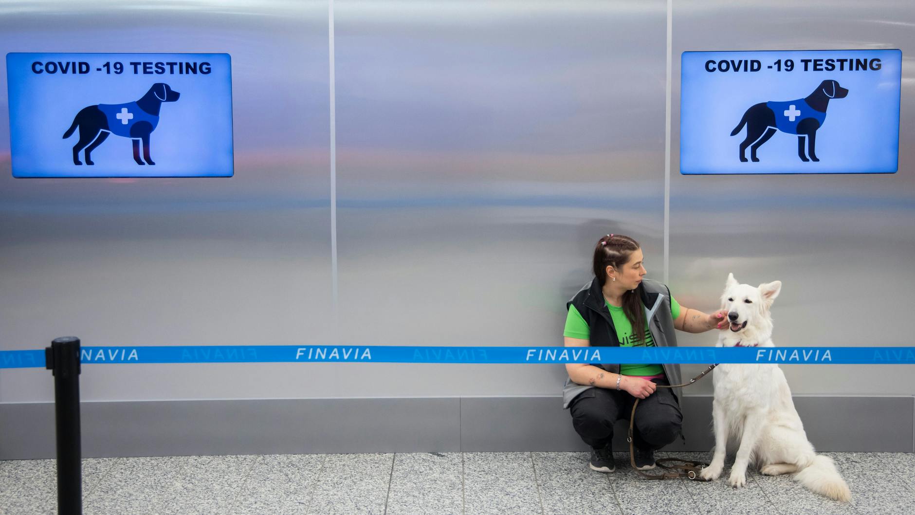 Am Flughafen Helsinki-Vantaa sind Spürhunde im Einsatz, die Corona erschnüffeln und womöglich bald PCR-Tests ersetzen könnten.