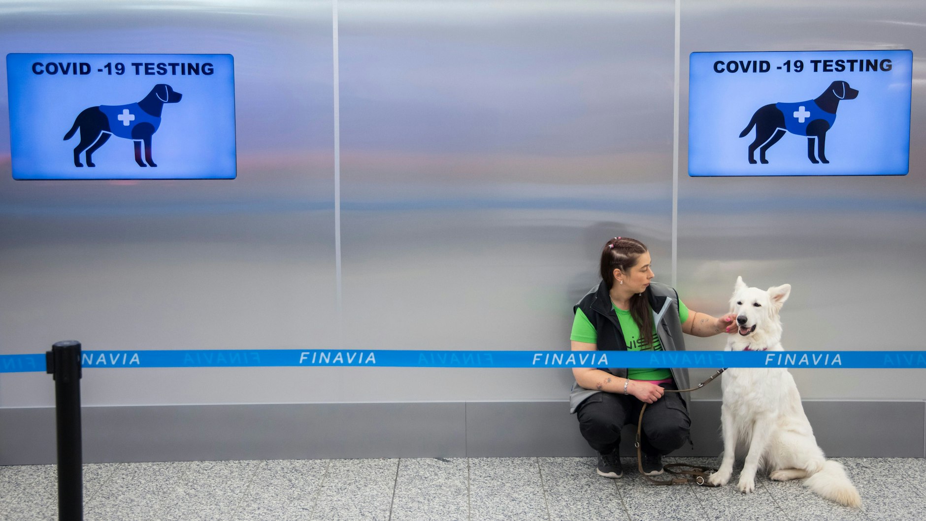 Am Flughafen Helsinki-Vantaa sind Spürhunde im Einsatz, die Corona erschnüffeln und womöglich bald PCR-Tests ersetzen könnten.