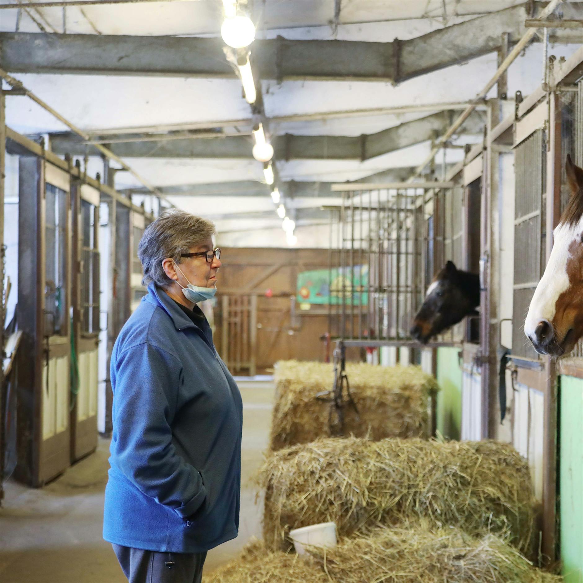 Karlshorst: Pferdebesitzer bangen um ihre Ställe