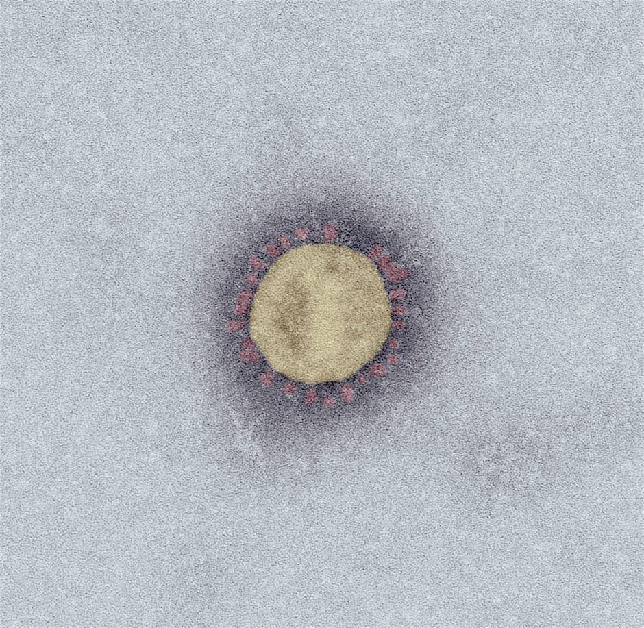Das Virus