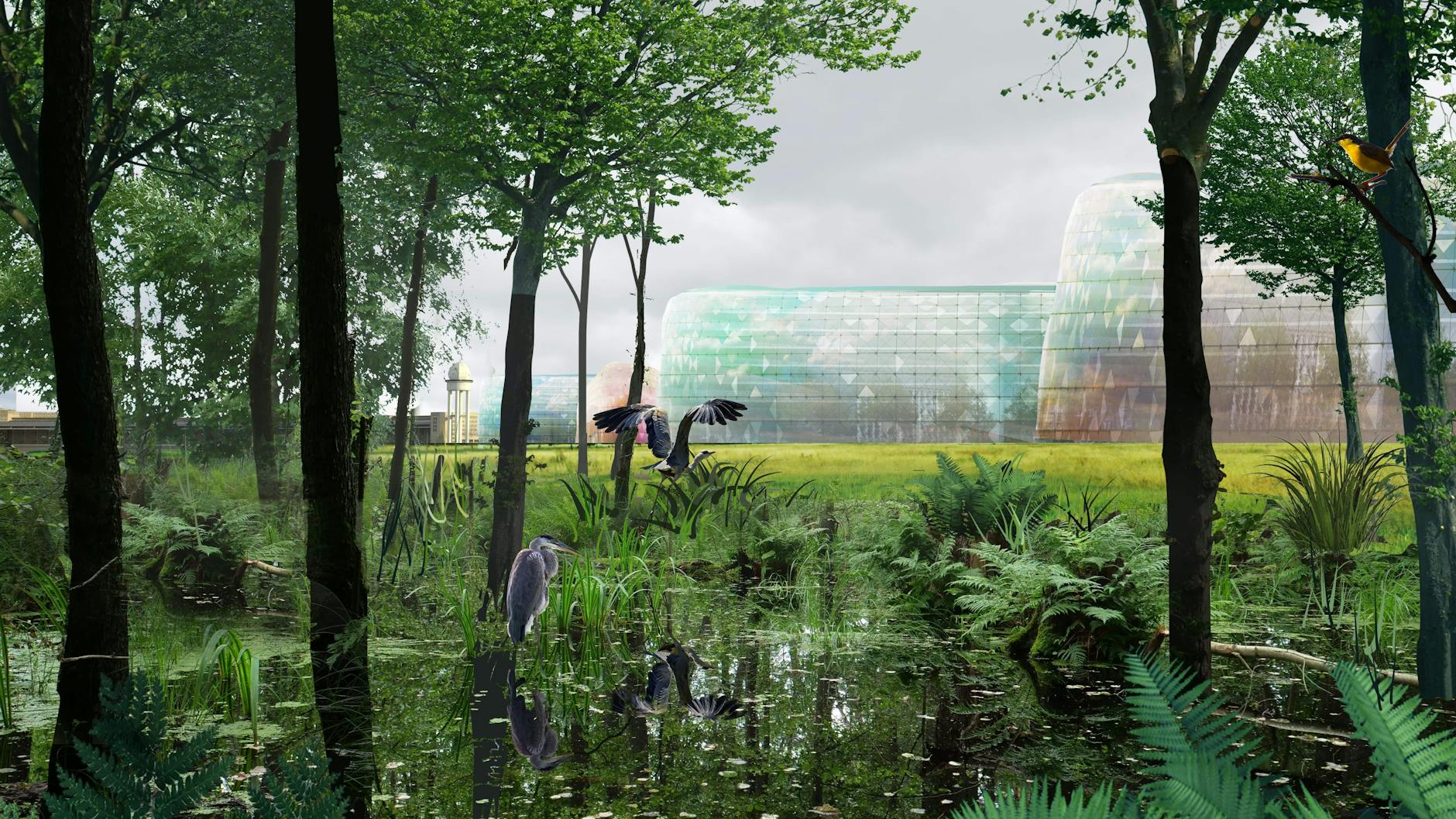 Ein Naturreservat auf dem Tempelhofer Feld, in der die Natur sich selbst überlassen ist – eine Idee der Berliner Architektin Imke Woelk. 