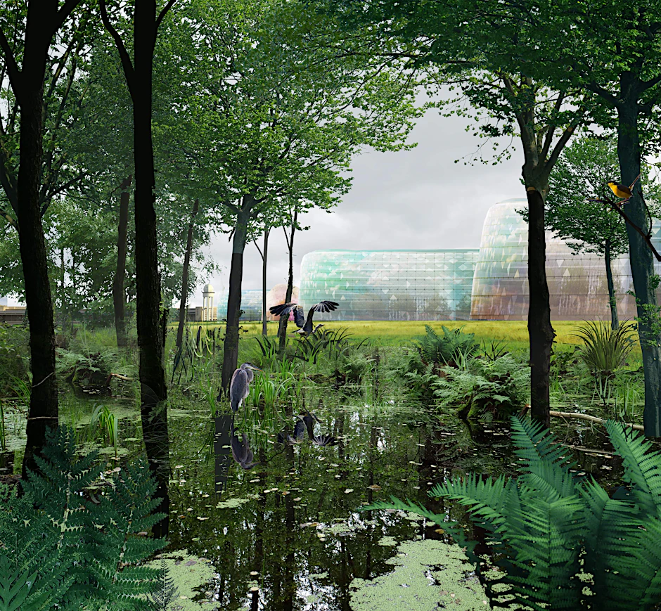Ein Naturreservat auf dem Tempelhofer Feld, in der die Natur sich selbst überlassen ist – eine Idee der Berliner Architektin Imke Woelk.&nbsp;