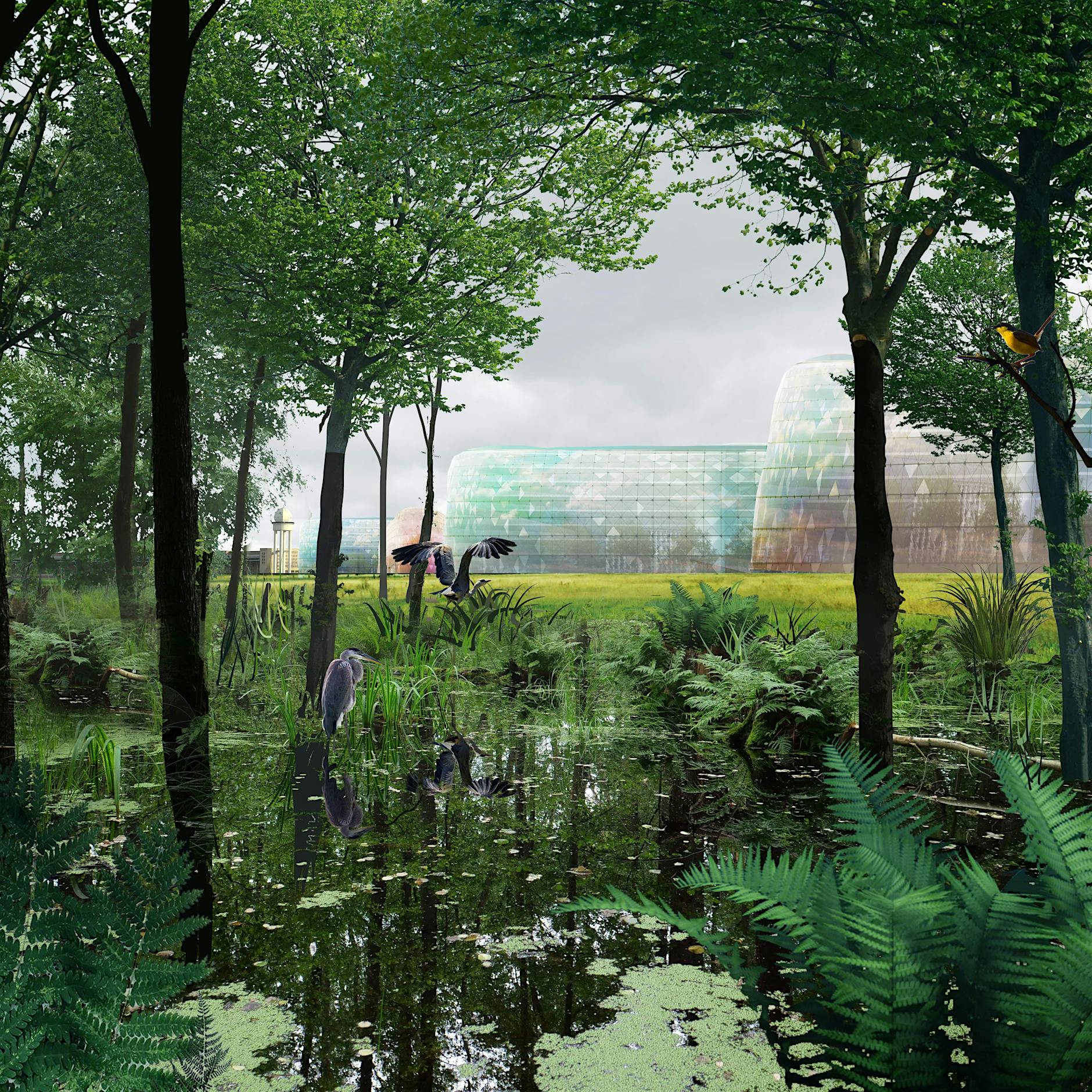 Berliner Architektin: „Das Tempelhofer Feld als Naturreservat - warum nicht?“