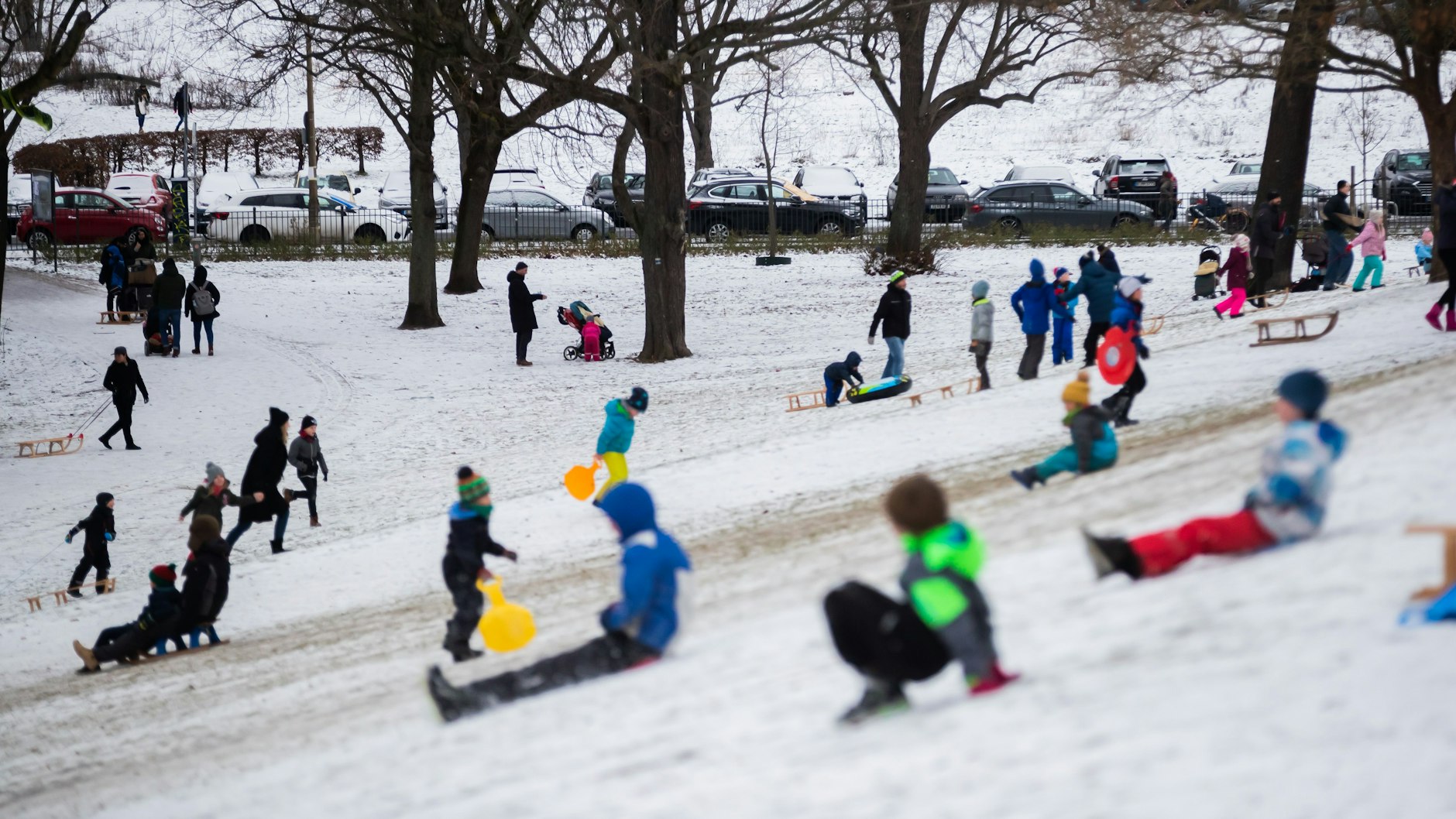 Viele Berliner erobern im Winterwetter die Schlittenhügel der Stadt.