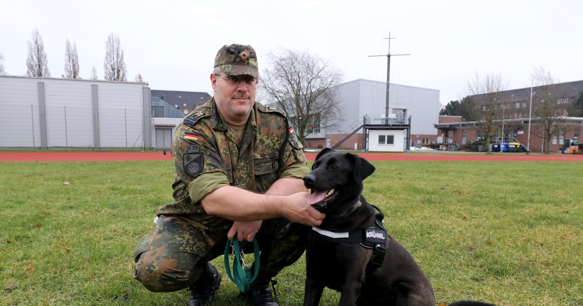 Ein Held auf vier Pfoten Therapiehund Krümel holt deutsche Soldaten