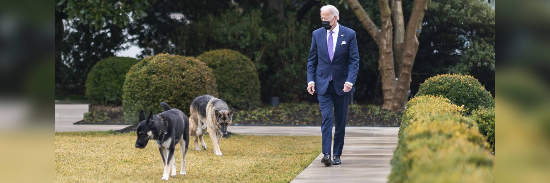 US-Präsident Joe Biden mit den Hunden Major (vorne) und Champ.