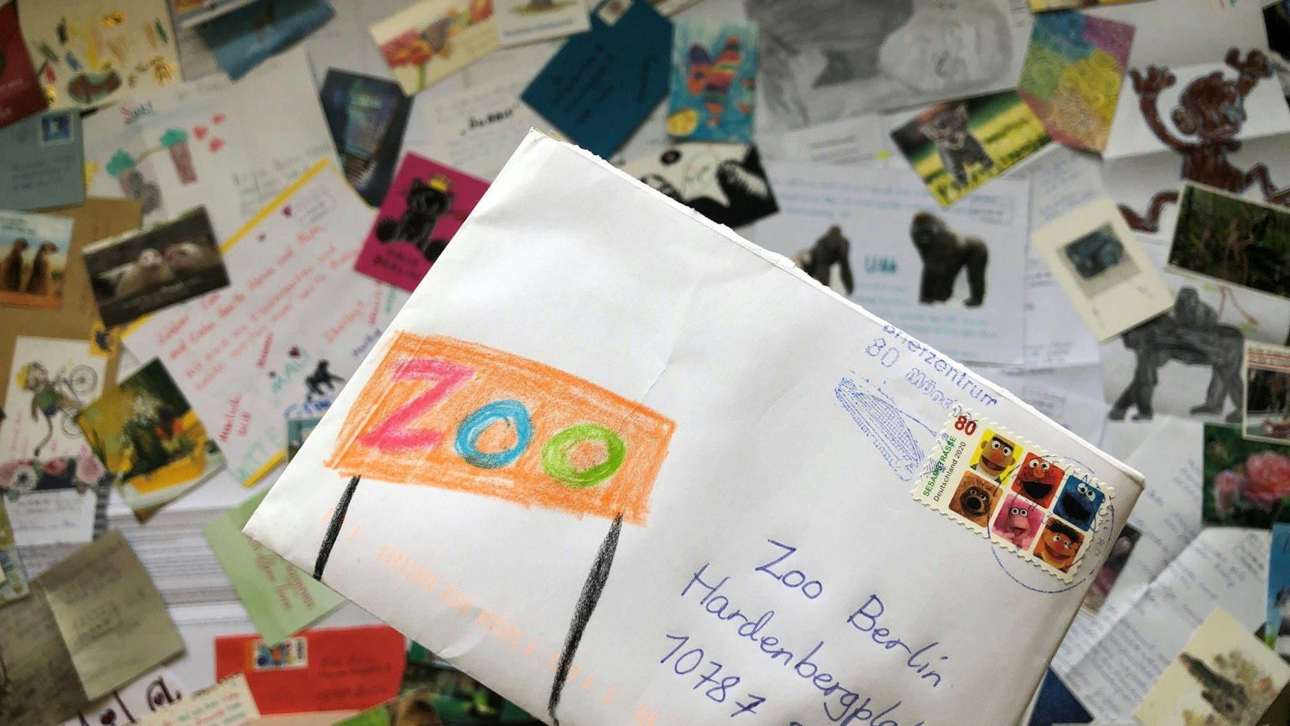 Viele Tier-Fans schickten Briefe mit ihre Namensvorschlägen, in denen sich Zeichnungen oder Collagen befanden, die das Gorilla-Baby zeigen.