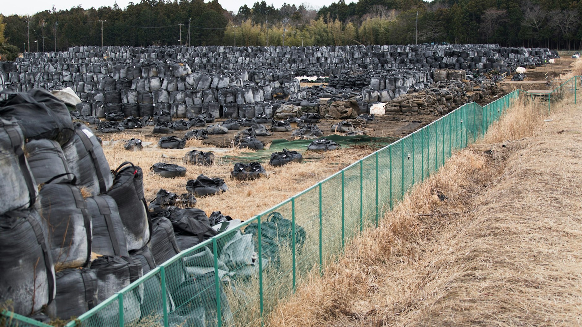 Säche mit abgetragener radioaktiver Erde sind in einem abgesperrten Bereich.