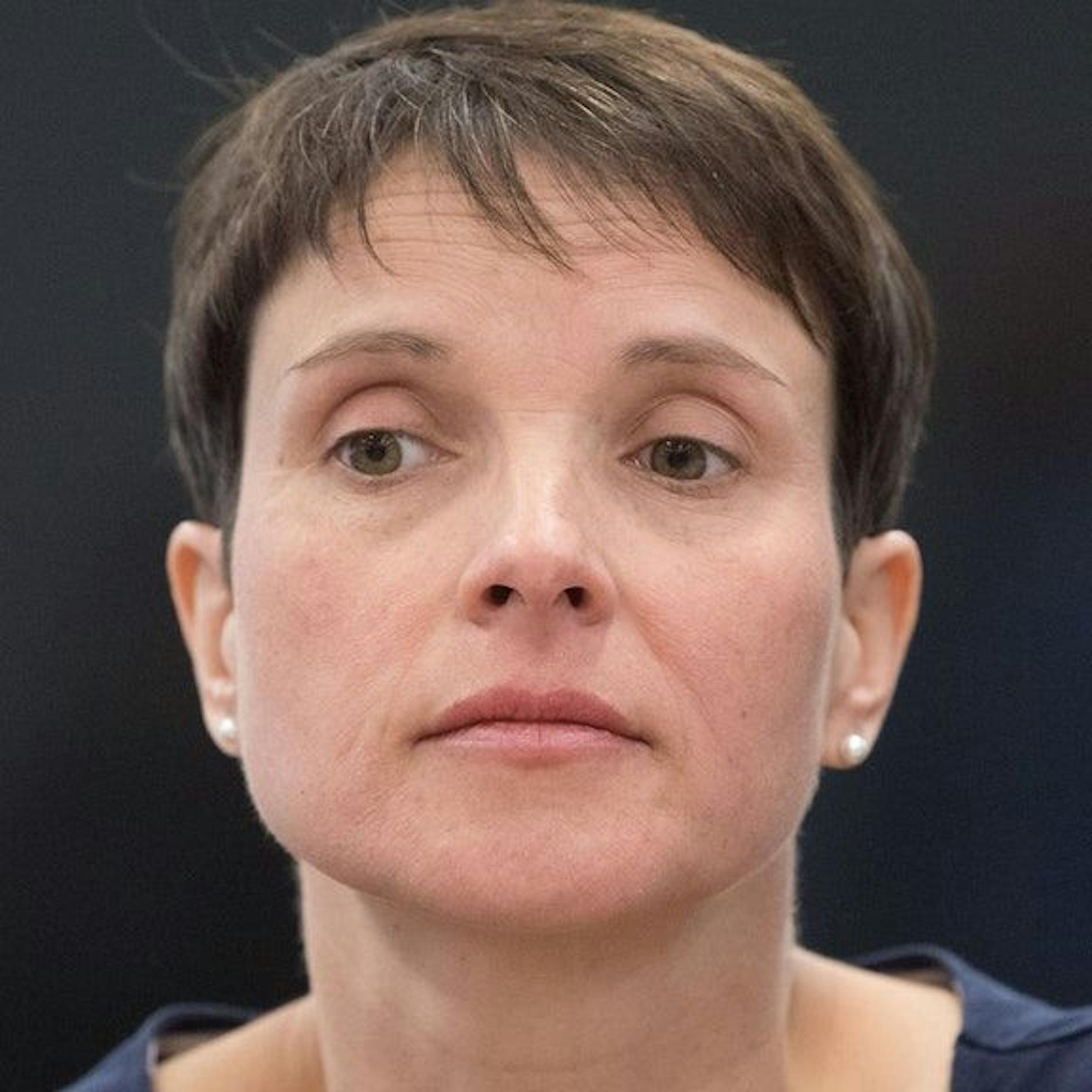 Frauke Petry: AfD-Spitze traf sich mit reichem Geldgeber